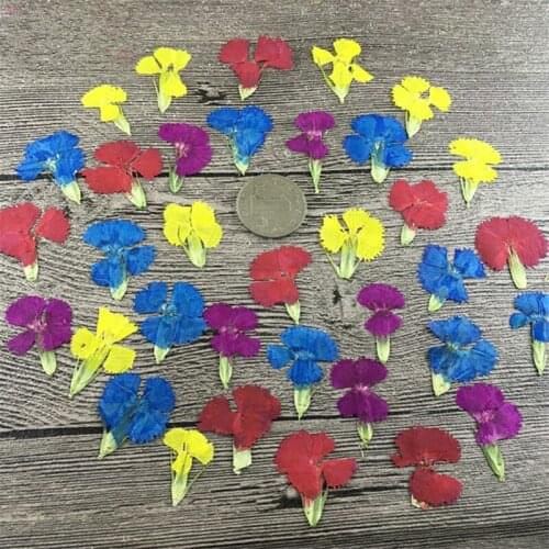 DRtrade Artificial Carnations