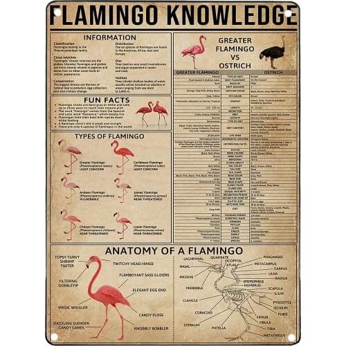 Metal Tin Signs Retro Metal Signs Bathroom Flamingo Knowledge Old Signs Metal for home bar club coffee farmhouse room decor