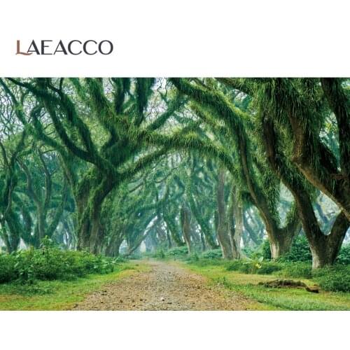 Laeacco Forest Backdrops For Photography Tropical Rain Forest Moss Green Grass Branches Way View Photo Background Photo Studio