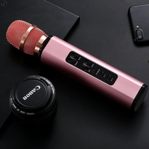 SVFIREK Portable Audio Equipment