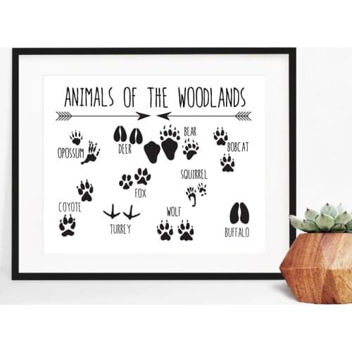 Animal Tracks Woodland Nursery Wall Art Canvas Print Animal Footprints Field Guide Painting Picture Kids Room Wall Art Decor
