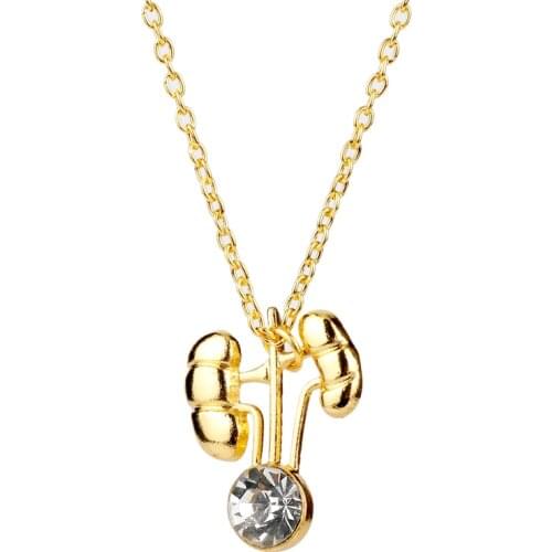 Kidney Shape Pendant Necklace Medical Jewelry Gift for Nephrologist/Doctors Gold Color Necklace with Crystal Jewellery Hormones