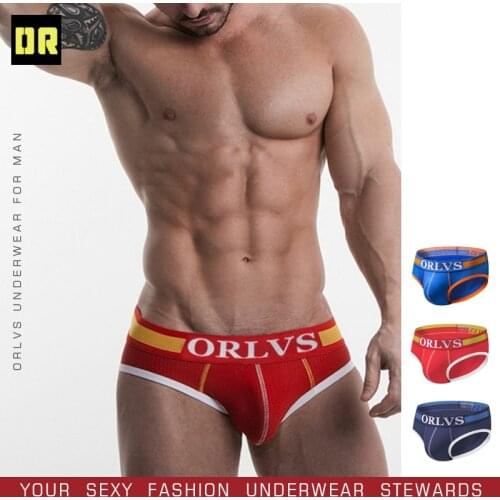 ORLVS Brand Mens Sexy Underwear Briefs Men Nylon Cotton Breathable Comfortable Underpants Mesh Lingerie Male Panties OR117