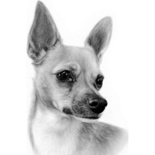 White Chihuahua dog 5D DIY Diamond Painting Cross Stitch Diamond Embroidery pet full Square drill Mosaic home decor C794