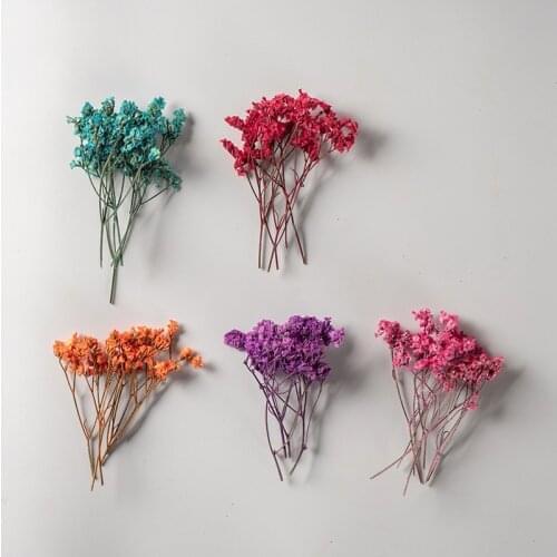 60pcs Pressed Dried Flower Plumbaginaceae Limonium Herbarium Epoxy Resin Lamp Nail Art Jewelry Bookmark Phone Case Card DIY