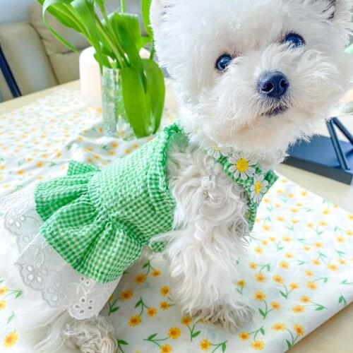 PETCIRCLE Dog Puppy Clothes Little Star Lace Dress Pet Cat Fit Small Dog Spring and Summer Pet Cute Costume Dog Cloth Dog Skirt