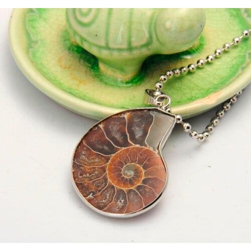 Natural Stone Ammonite Fossils Seashell Snail Pendants Ocean Reliquiae Conch Animal Necklaces Statement Men Jewellery