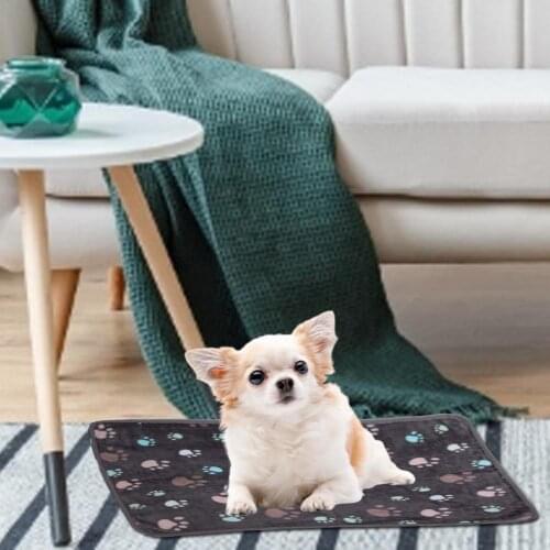 Lovely Print Pet Blanket Fleece Comfortable Dogs Soft Warm Sleep Mat Flannel Cats Playing Pad For Sofa And Ground Pet Blanket