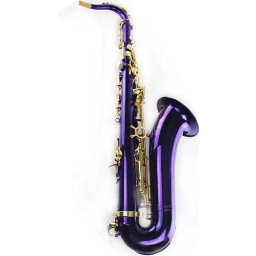 B-flat Alto Saxophone Purple Paint Gold Key Sax Musical Instruments Brass Top Quality Saxophone Gift Professional SAX11