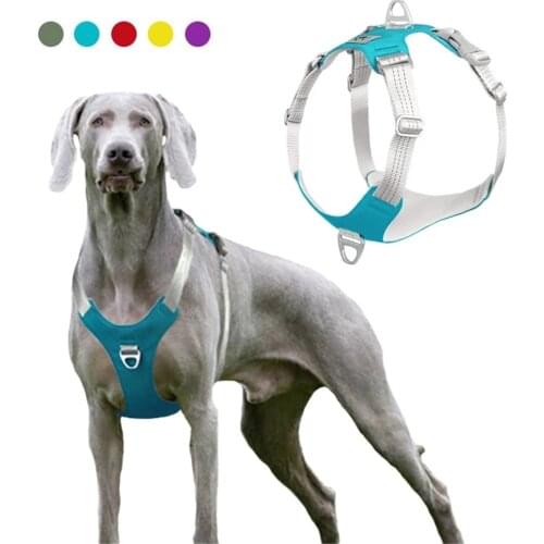 Miflame Reflective Dog Harness Dachshund Greyhound Collar Adjustable Large Dog Collar For Pet Accessories Pet Collar Vest-style