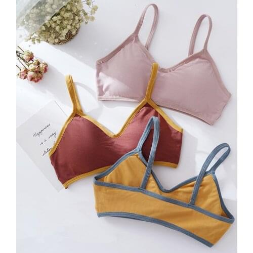 Sexy Push Up Bras For Women Lingerie Bralette Wireless Brassiere Female Seamless Underwear Padded Intimates Sexy Bra