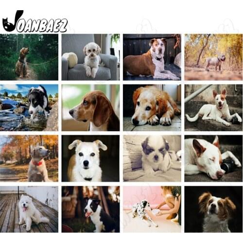 Cute Black and White Dalmatian Diamond Painting 5D Diy Wall Art Pet Animal Round Diamond Inlaid Home Room Decoration Accessories