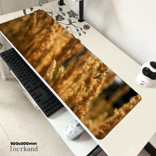 Wheat Earth mousepad locrkand gaming mouse pad pc computer 800x300x3mm gamer accessories mat gamers laptop hot protector pads