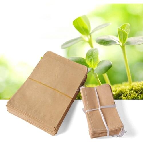 Seed Storage Bag Store Seeds Wildflower 100 Pcs For Flowers Party Favors 10*17cm 6*10cm 12*20cm Kraft Paper Bags
