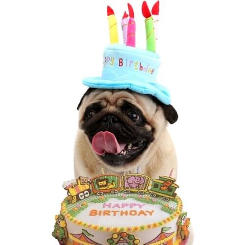 Birthday Accessories Pet Dog Accessories Dog Hat Cake Personality Pet Dog Hat Pet Supply