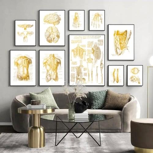 Human Body Structure Skull Spine Anatomy Medicine Wall Art Canvas Painting Nordic Posters And Prints Pictures For Living Room