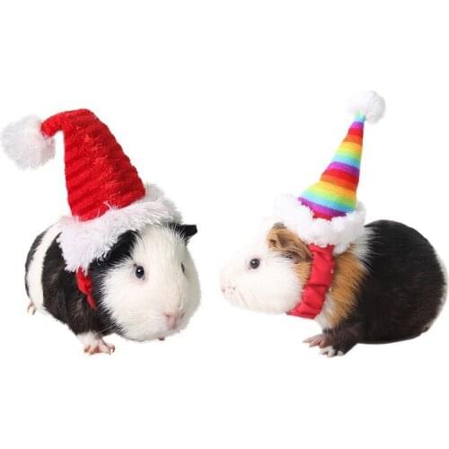 TAILUP Animal Care Items