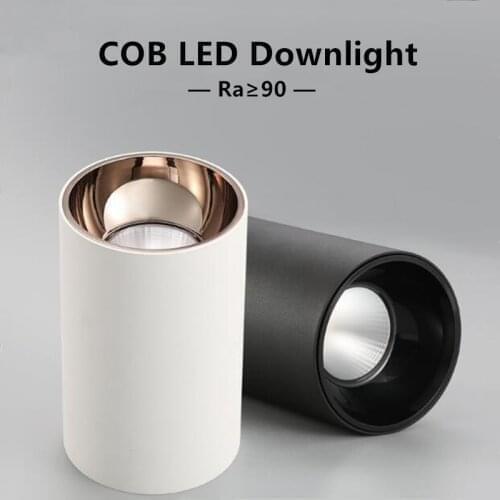 LED COB Ceiling Round Surface Mounted 15W 20W AC85-265V Dimmable Warm white LED Downlight Hotel villa home lighting