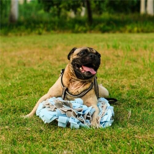 PETTOIESTY Products For Dogs