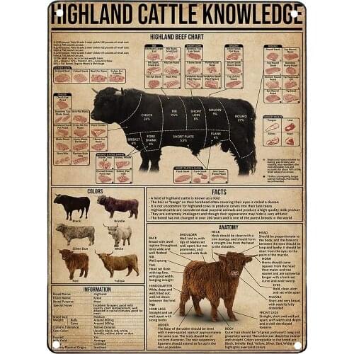 Retro Tin Signs Wall Decor Highland Cattle Knowledge Man Cave Accessories And Decor