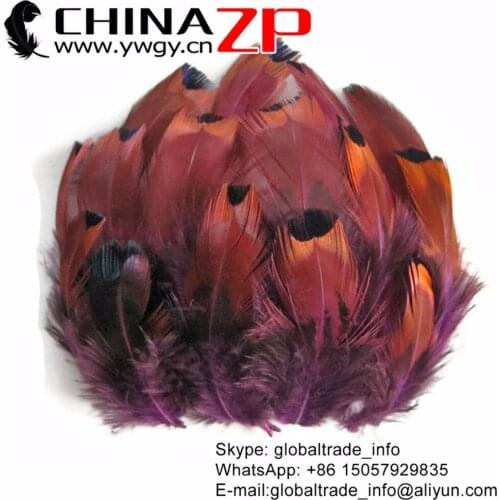 CHINAZP 200pcs/lot Selected Prime Quality Dyed Purple Natural Golden Yellow Beautiful Ringneck Loose Pheasant Feathers