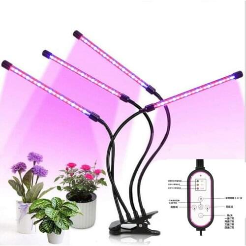 Jinyufeng Professional Lighting