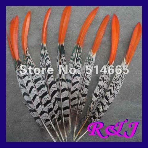 Wholesale pheasant feather tail 50PCS 25-30cm 10-12inch pheasant feathers Free Shipping
