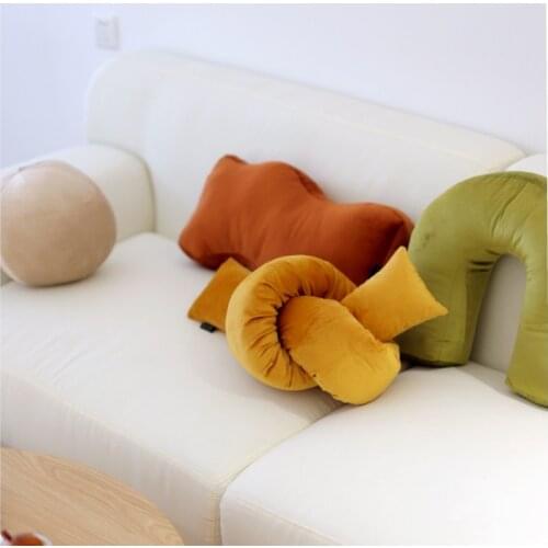 Lazzy house Cushions