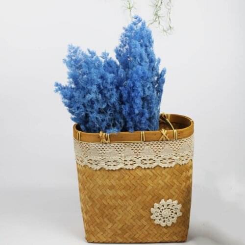 Dried Flower Preserved Natural Bouquet Asparagus Myrioeladus Ming Fern DIY Material For Decoration Home Decor Flores Decorativas