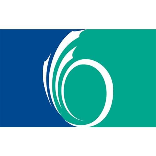 Ottawa Flag Yehoy hanging 90*150cm Canada For Decoration