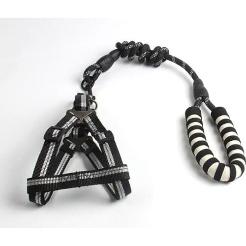 Personalized Nylon Dog Collar Hardness Cute Cat Basic Leashes Pet Reflective Harnesses Collar Sets For Small Dogs