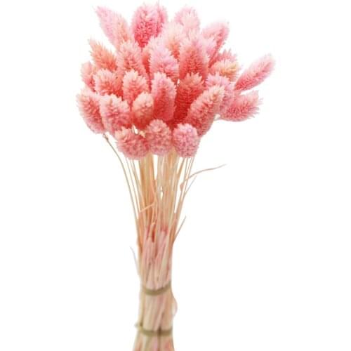 50pcs Dried Gem Grass Phalaris Flower Bouquets Home Decoration Eternal Flower Photography Props