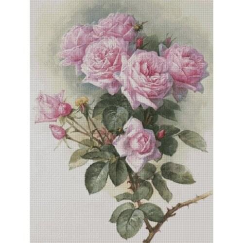 Coral Peonies Rose pink Flowers Top Quality Embroidery Needlework 14CT Unprinted Cross Stitch Kits DIY Handmade Art Home Decor