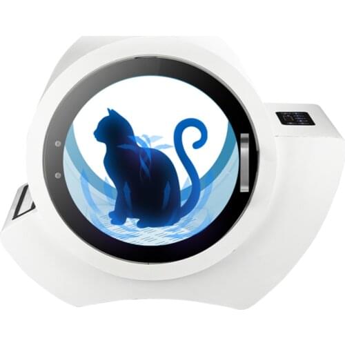 1500W 220V Dual Motor Pet Hair Dryer Machine Room Dryer Pet Grooming Automatic Pet Dryer Box Brush