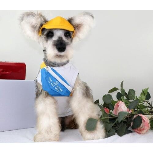 Fashion Pet Dog Sling Bags New Design Dog Backpack Schnauzer Purses Striped Letter Dog Shoulder Bag Dogs Pets Accessories PDZL12