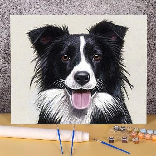 Animal Border Collie DIY Paint By Numbers Kit Oil Paints 50*70 Canvas Painting Home Decoration Adults Handicraft Drawing