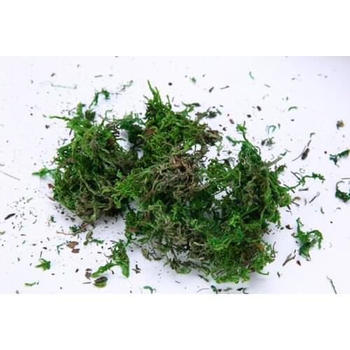 FAKE Artificial Dried Reindeer Moss for Flowers Grass Basket Plant Home decoration Garden Garland Wedding Party DIY Decoration