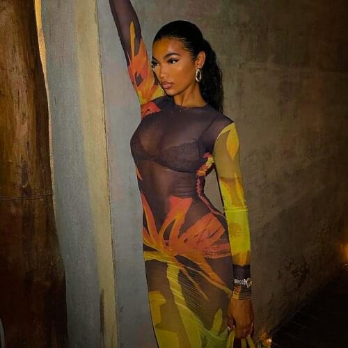 Mesh Print See Through Sexy Maxi Dresses For Women Long Sleeve 2021 Fashion Clubwear Party Long Dress Bodycon Skinny