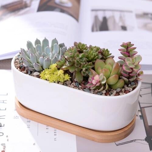 Elliptic Ceramic Flower Pot Planters Magnetic Suspension Floating Pot with Bamboo Tray Plant Pot for Table Desk Decoration
