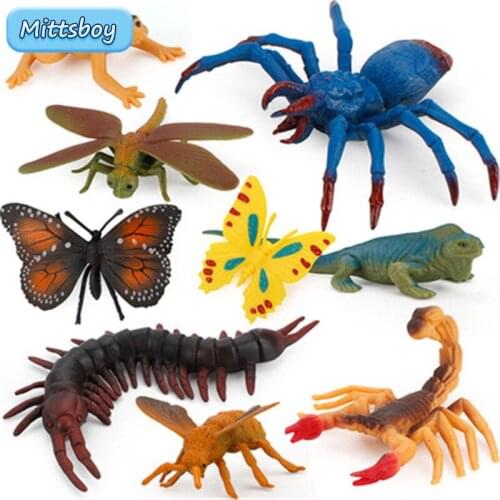 Simulation Amphibian Animals Model Toy Sets Spider Centipede lizard Action Figures Educational Toy for Children Toy Figure Gifts
