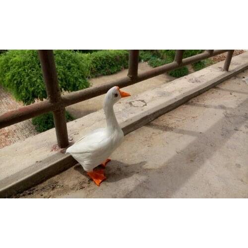 White goose 20x20cm hard model toy,polyethylene&furs feathers goose craft,home decoration,Xmas gift 0642