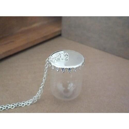 Free ship!! 38x25mm Small arch glass globe bottle pendant,with silver an crown shap base ,with chain,rice wish necklace pendant