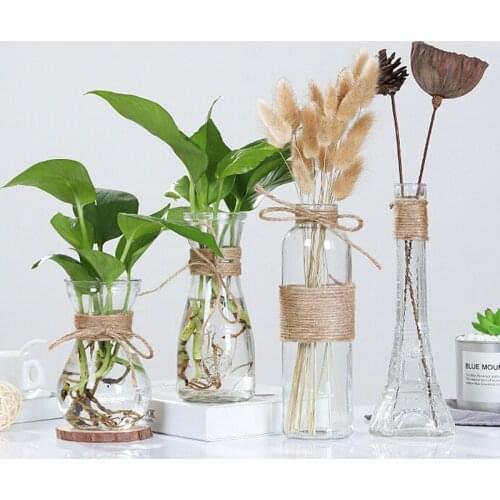 Hydroponics Plants Vases Dry Flower Vase Creative Accessories Ornaments DIY Valentines Day Nordic Transparent Glass Vases