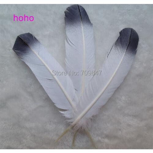 Plumas! 50Pcs/lot!10-12inches 25-30cm long,Painting Turkey Wing Quill Feathers,Black Tipped TURKEY Quills for Showgirl Costume