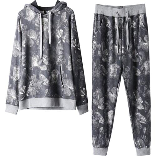 Spring Autumn Print tracksuit two piece set women Long-Sleeve Hooded plus size pullover clothes Casual Harem Pants Ladies H1035