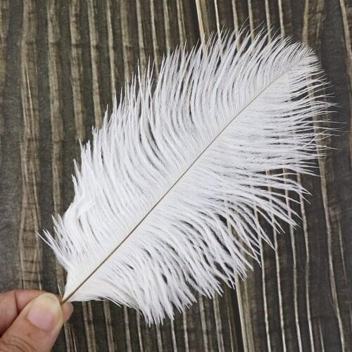 50Pcs Fluffy Colored Ostrich Feathers 10-15CM High Quality Plumes DIY Wedding Decoration Carnival Accessories Crafts Wholesale
