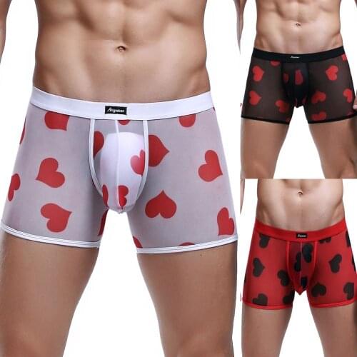 M-2XL Mens Net Yarn Underpants Sexy Uderwear Breathable Mens Panties Sexy Erotic Lingerie Transparent Boxers Intimates Briefs