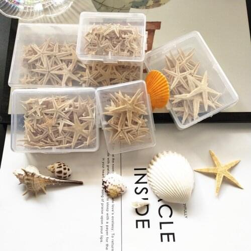 1-5cm 1 Box Party Natural Starfish Seashell Beach Craft DIY Beach Wedding Decoration Crafts Home Decor Natural Sea Stars