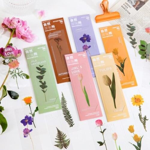 5 Pcs Nature Plants Translucent Book Marks Unique Personalized Book Page Markers For Students Teachers Girl Office School Gifts