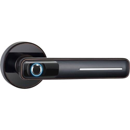 New Chinese smart interior Home fingerprint bedroom lock wooden door